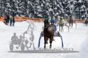 Dateiname=20170115_r01_079.jpg
Dateigröße=124KB
Abmessungen: 750x500
hinzugefügt am: 16. Januar 2017 20170115_r01_079.jpg