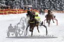 Dateiname=20170115_r01_082.jpg
Dateigröße=135KB
Abmessungen: 750x500
hinzugefügt am: 16. Januar 2017 20170115_r01_082.jpg