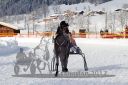 Dateiname=20170115_r01_084.jpg
Dateigröße=133KB
Abmessungen: 750x500
hinzugefügt am: 16. Januar 2017 20170115_r01_084.jpg
