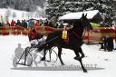 Dateiname=20170115_r03_002.jpg
Dateigröße=134KB
Abmessungen: 750x500
hinzugefügt am: 16. Januar 2017 20170115_r03_002.jpg