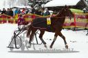 Dateiname=20170115_r03_005.jpg
Dateigröße=120KB
Abmessungen: 750x500
hinzugefügt am: 16. Januar 2017 20170115_r03_005.jpg