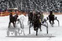 20170115_r03_052.jpg