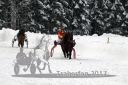 Dateiname=20170115_r04_041.jpg
Dateigröße=109KB
Abmessungen: 750x500
hinzugefügt am: 16. Januar 2017 20170115_r04_041.jpg