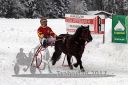 Dateiname=20170115_r04_045.jpg
Dateigröße=117KB
Abmessungen: 750x500
hinzugefügt am: 16. Januar 2017 20170115_r04_045.jpg