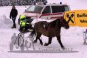 Dateiname=20170115_r04_058.jpg
Dateigröße=113KB
Abmessungen: 750x500
hinzugefügt am: 16. Januar 2017 20170115_r04_058.jpg