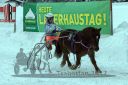 Dateiname=20170115_r04_066.jpg
Dateigröße=109KB
Abmessungen: 750x500
hinzugefügt am: 16. Januar 2017 20170115_r04_066.jpg