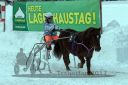 Dateiname=20170115_r04_067.jpg
Dateigröße=104KB
Abmessungen: 750x500
hinzugefügt am: 16. Januar 2017 20170115_r04_067.jpg