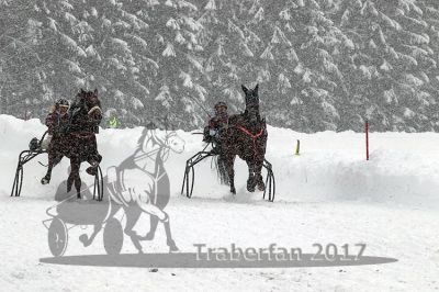 20170115_r05_073.jpg