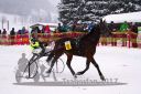 Dateiname=20170115_r05_005.jpg
Dateigröße=116KB
Abmessungen: 750x500
hinzugefügt am: 16. Januar 2017 20170115_r05_005.jpg