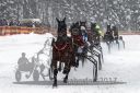 Dateiname=20170115_r05_047.jpg
Dateigröße=133KB
Abmessungen: 750x500
hinzugefügt am: 16. Januar 2017 20170115_r05_047.jpg