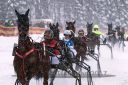 Dateiname=20170115_r05_049.jpg
Dateigröße=136KB
Abmessungen: 750x500
hinzugefügt am: 16. Januar 2017 20170115_r05_049.jpg