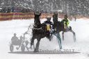 Dateiname=20170115_r05_052.jpg
Dateigröße=120KB
Abmessungen: 750x500
hinzugefügt am: 16. Januar 2017 20170115_r05_052.jpg