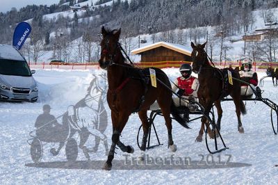 20170115_r06_001.jpg