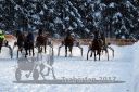 Dateiname=20170115_r06_030.jpg
Dateigröße=152KB
Abmessungen: 750x500
hinzugefügt am: 16. Januar 2017 20170115_r06_030.jpg
