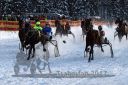 Dateiname=20170115_r06_036.jpg
Dateigröße=154KB
Abmessungen: 750x500
hinzugefügt am: 16. Januar 2017 20170115_r06_036.jpg