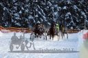 Dateiname=20170115_r06_042.jpg
Dateigröße=158KB
Abmessungen: 750x500
hinzugefügt am: 16. Januar 2017 20170115_r06_042.jpg