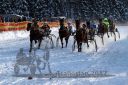 Dateiname=20170115_r06_063.jpg
Dateigröße=159KB
Abmessungen: 750x500
hinzugefügt am: 16. Januar 2017 20170115_r06_063.jpg