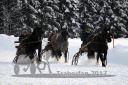 Dateiname=20170115_r07_025.jpg
Dateigröße=122KB
Abmessungen: 750x500
hinzugefügt am: 16. Januar 2017 20170115_r07_025.jpg