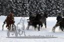 Dateiname=20170115_r07_027.jpg
Dateigröße=143KB
Abmessungen: 750x500
hinzugefügt am: 16. Januar 2017 20170115_r07_027.jpg