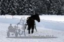 Dateiname=20170115_r07_035.jpg
Dateigröße=124KB
Abmessungen: 750x500
hinzugefügt am: 16. Januar 2017 20170115_r07_035.jpg