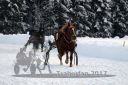Dateiname=20170115_r07_036.jpg
Dateigröße=110KB
Abmessungen: 750x500
hinzugefügt am: 16. Januar 2017 20170115_r07_036.jpg