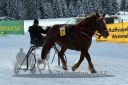 Dateiname=20170115_r07_045.jpg
Dateigröße=121KB
Abmessungen: 750x500
hinzugefügt am: 16. Januar 2017 20170115_r07_045.jpg
