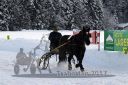 Dateiname=20170115_r07_047.jpg
Dateigröße=125KB
Abmessungen: 750x500
hinzugefügt am: 16. Januar 2017 20170115_r07_047.jpg