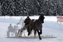 Dateiname=20170115_r07_050.jpg
Dateigröße=130KB
Abmessungen: 750x500
hinzugefügt am: 16. Januar 2017 20170115_r07_050.jpg
