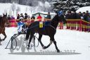 Dateiname=20170115_r08_007.jpg
Dateigröße=125KB
Abmessungen: 750x500
hinzugefügt am: 16. Januar 2017 20170115_r08_007.jpg