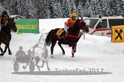 20170115_r09_090.jpg