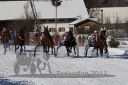 20170129_r02_027.jpg