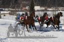 20170129_r02_034.jpg