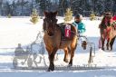 Dateiname=20170129_r03_025.jpg
Dateigröße=308KB
Abmessungen: 750x500
hinzugefügt am: 30. Januar 2017 20170129_r03_025.jpg
