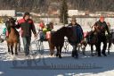Dateiname=20170129_r03_043.jpg
Dateigröße=343KB
Abmessungen: 750x500
hinzugefügt am: 30. Januar 2017 20170129_r03_043.jpg