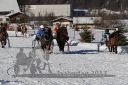 Dateiname=20170129_r03_063.jpg
Dateigröße=358KB
Abmessungen: 750x500
hinzugefügt am: 30. Januar 2017 20170129_r03_063.jpg
