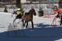 Dateiname=20170129_r03_083.jpg
Dateigröße=319KB
Abmessungen: 750x500
hinzugefügt am: 30. Januar 2017 20170129_r03_083.jpg