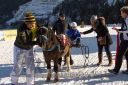 20170129_r03_103.jpg
