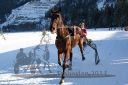 Dateiname=20170129_r04_006.jpg
Dateigröße=353KB
Abmessungen: 750x500
hinzugefügt am: 30. Januar 2017 20170129_r04_006.jpg