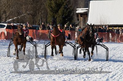 20170129_r05_022.jpg