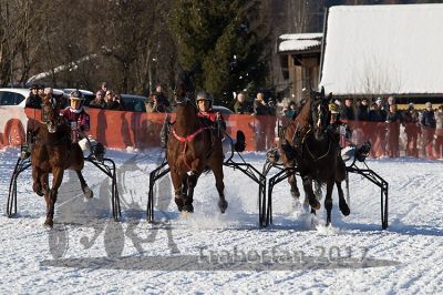 20170129_r05_023.jpg