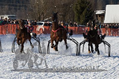 20170129_r05_024.jpg