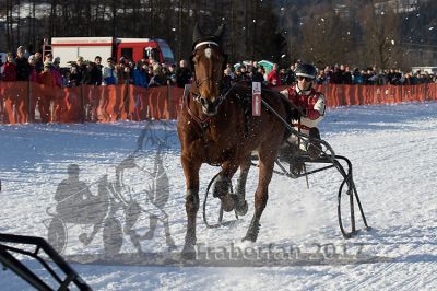 20170129_r05_030.jpg
