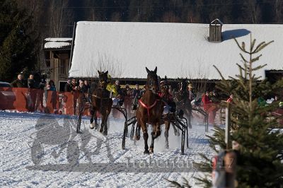 20170129_r05_032.jpg