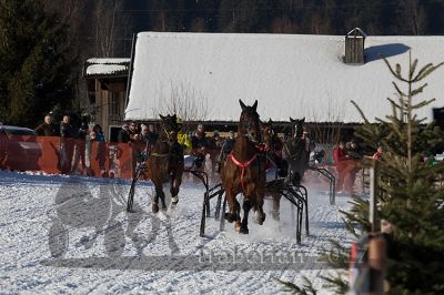 20170129_r05_033.jpg