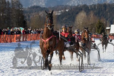 20170129_r05_043.jpg