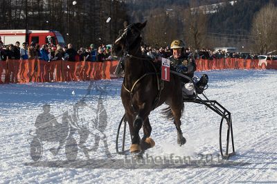 20170129_r05_048.jpg