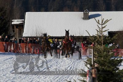 20170129_r05_049.jpg
