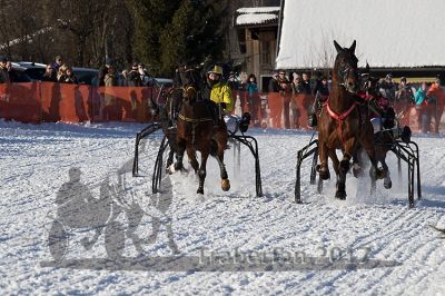 20170129_r05_057.jpg