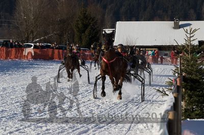 20170129_r05_076.jpg