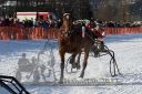 20170129_r05_030.jpg